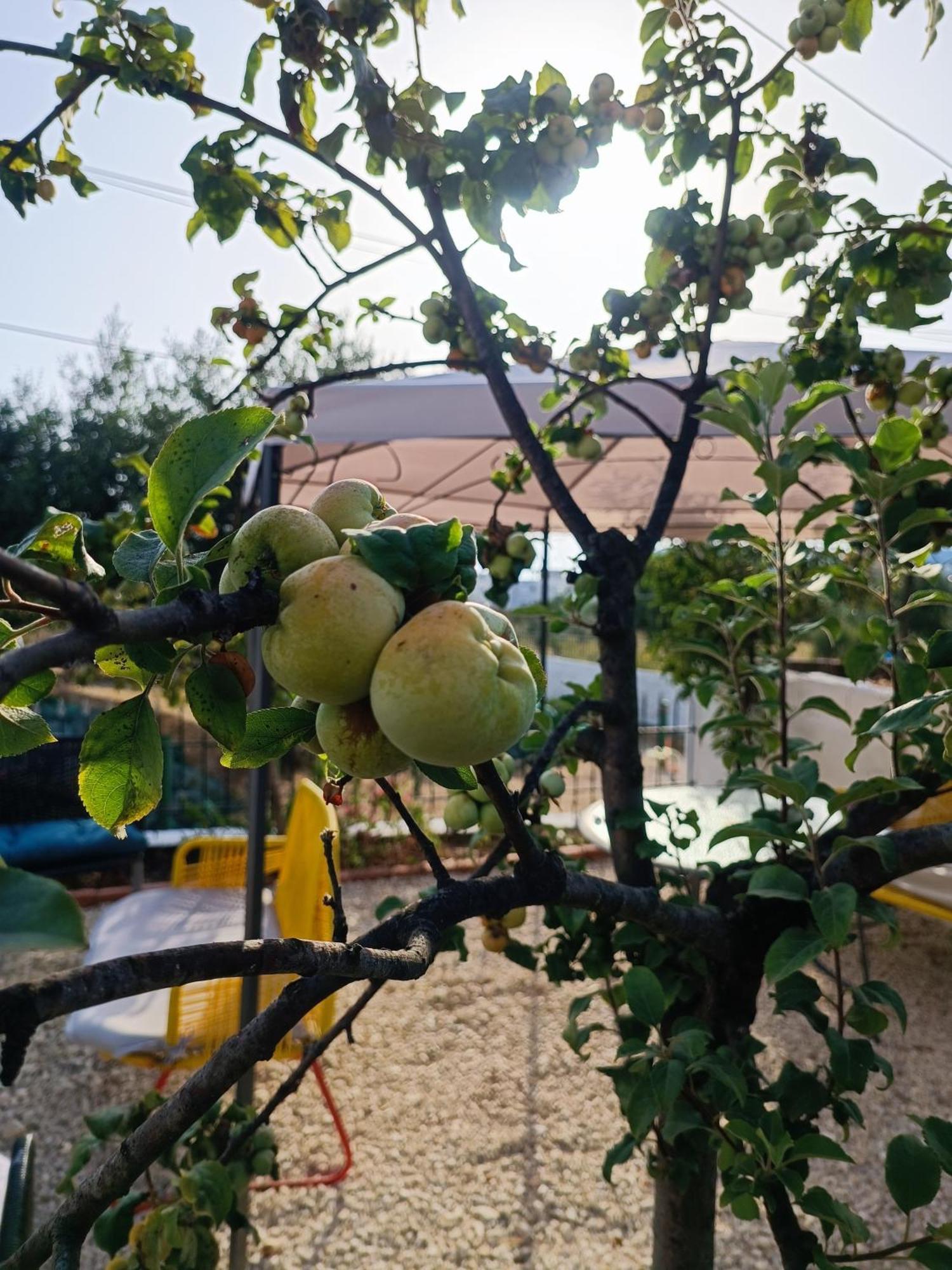 Natural Hostel Himare Luaran gambar