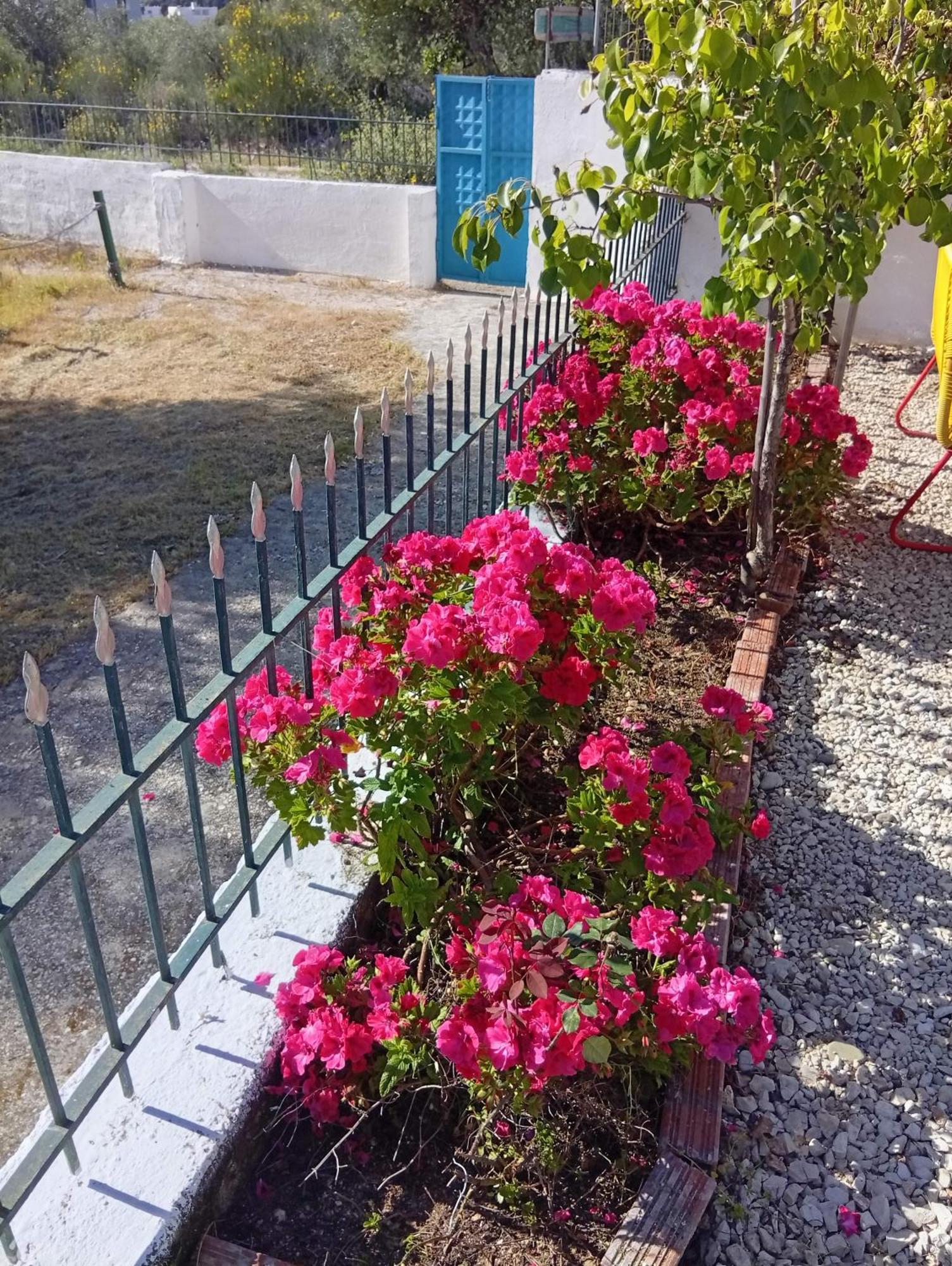 Natural Hostel Himare Luaran gambar